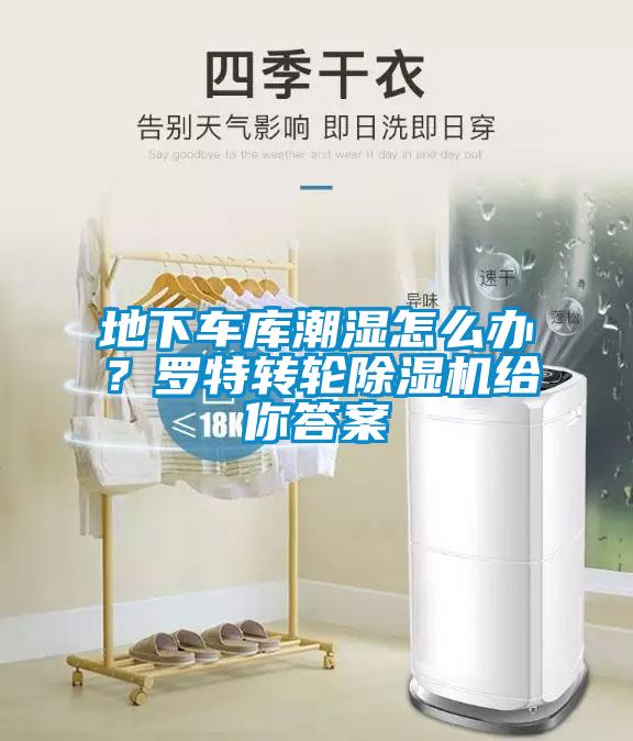 地下車庫潮濕怎么辦？羅特轉(zhuǎn)輪除濕機給你答案