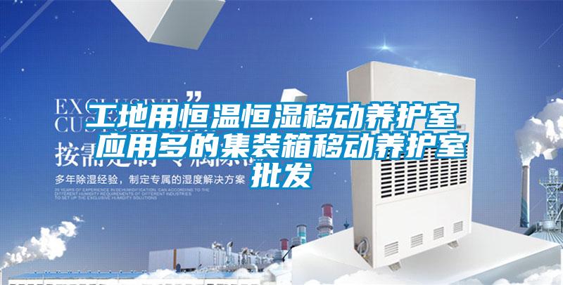 工地用恒溫恒濕移動(dòng)養護室 應用多的集裝箱移動(dòng)養護室批發(fā)