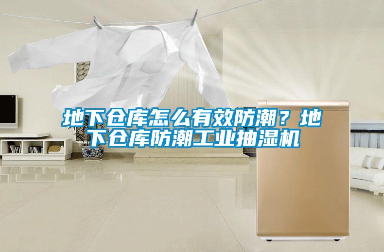 地下倉庫怎么有效防潮？地下倉庫防潮工業(yè)抽濕機