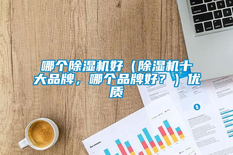 哪個(gè)除濕機好（除濕機十大品牌，哪個(gè)品牌好？）優(yōu)質(zhì)