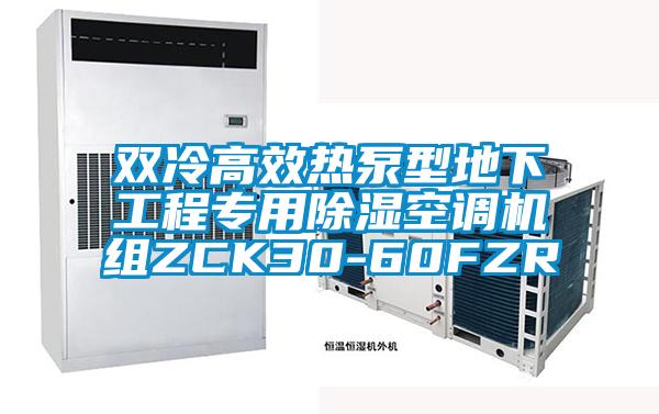 雙冷高效熱泵型地下工程專(zhuān)用除濕空調機組ZCK30-60FZR