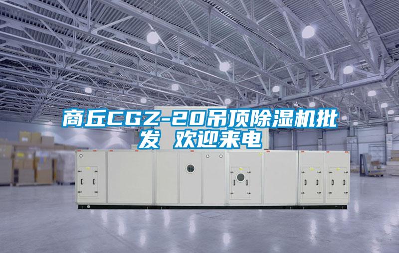 商丘CGZ-20吊頂除濕機批發(fā) 歡迎來(lái)電