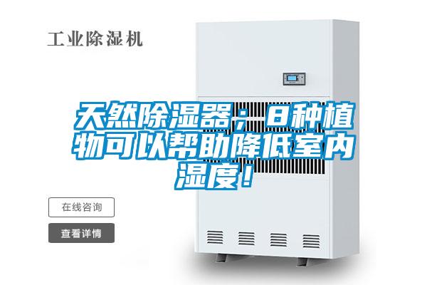天然除濕器；8種植物可以幫助降低室內(nèi)濕度！