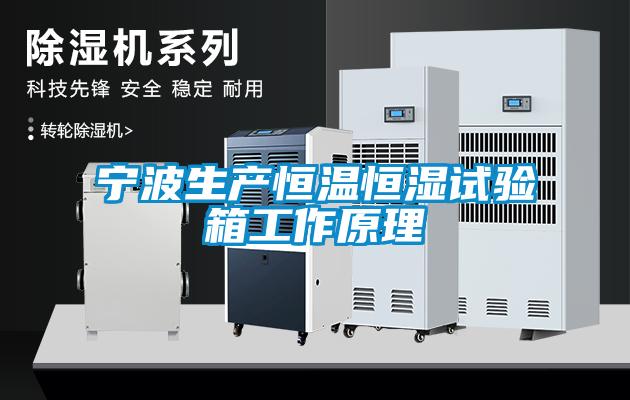 寧波生產(chǎn)恒溫恒濕試驗箱工作原理