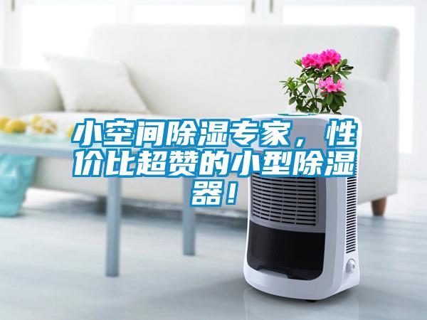小空間除濕專(zhuān)家，性?xún)r(jià)比超贊的小型除濕器！