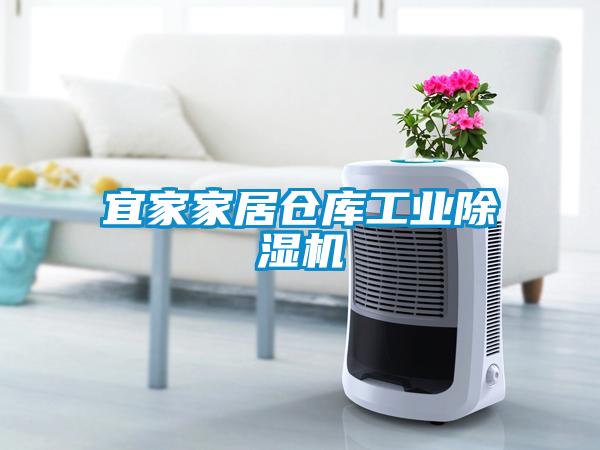 宜家家居倉庫工業(yè)除濕機