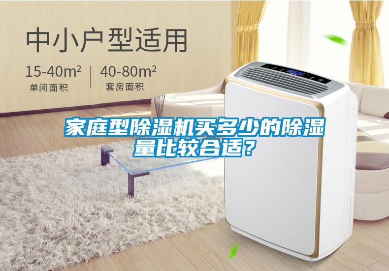 家庭型除濕機買(mǎi)多少的除濕量比較合適？