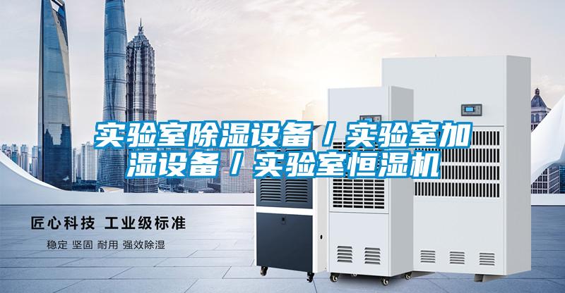 實(shí)驗室除濕設備／實(shí)驗室加濕設備／實(shí)驗室恒濕機