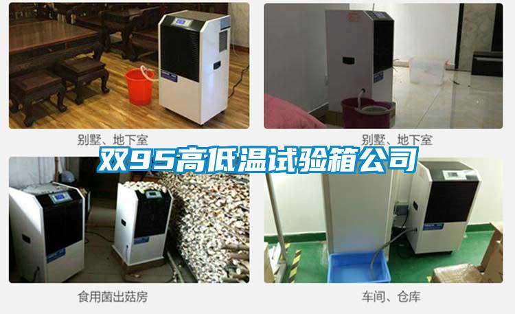 雙95高低溫試驗箱公司