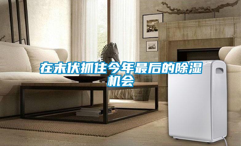 在末伏抓住今年最后的除濕機(jī)會(huì)