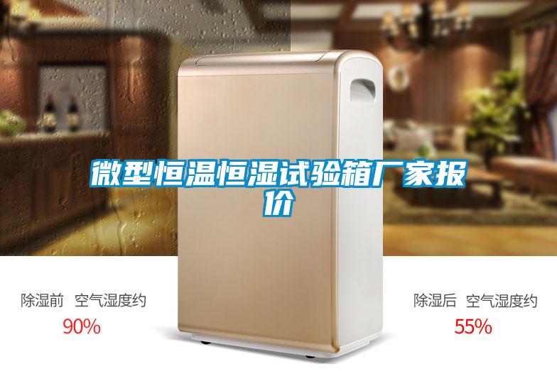 微型恒溫恒濕試驗箱廠(chǎng)家報價(jià)