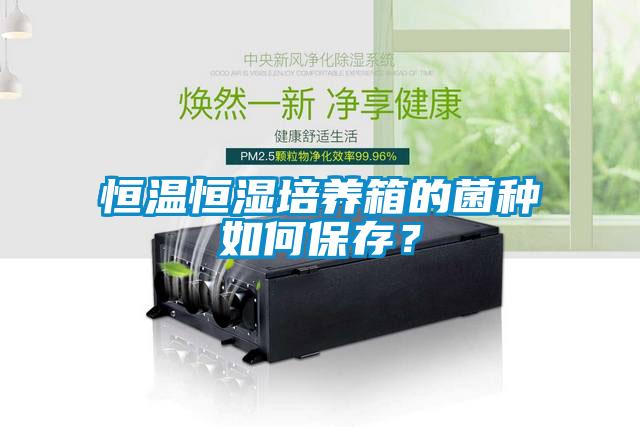 恒溫恒濕培養箱的菌種如何保存？