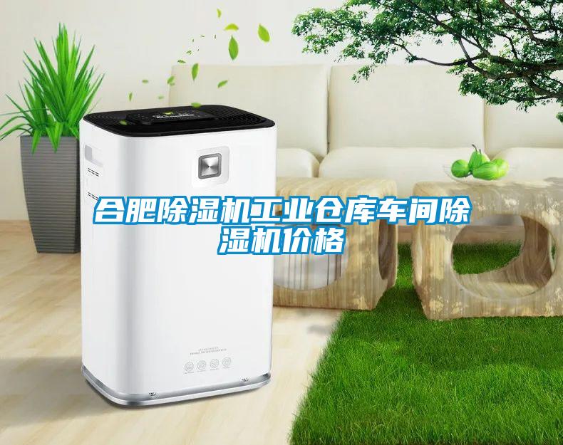 合肥除濕機工業(yè)倉庫車(chē)間除濕機價(jià)格