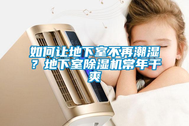 如何讓地下室不再潮濕？地下室除濕機常年干爽