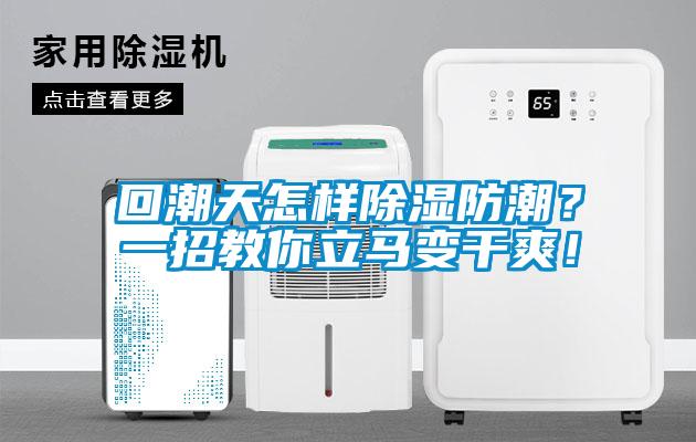 回潮天怎樣除濕防潮？一招教你立馬變干爽！