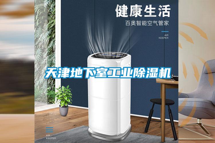 天津地下室工業(yè)除濕機