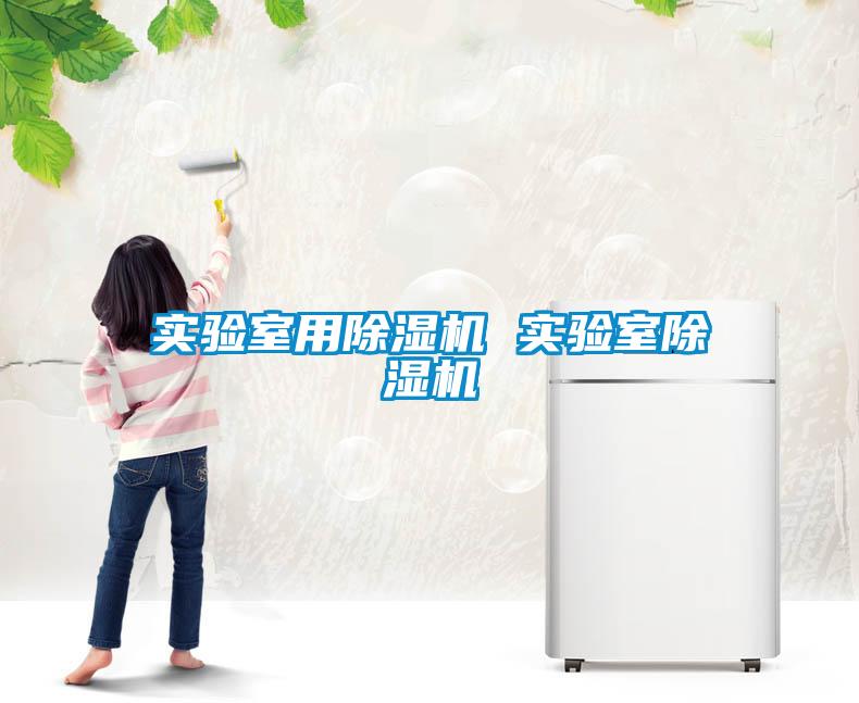 實驗室用除濕機 實驗室除濕機