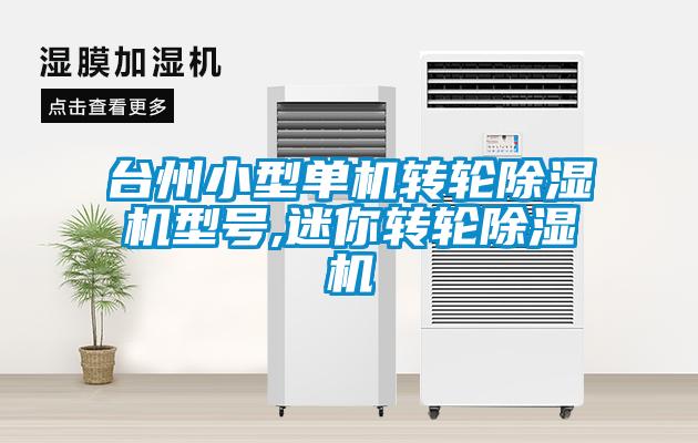 臺州小型單機轉輪除濕機型號,迷你轉輪除濕機