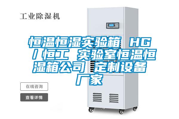 恒溫恒濕實(shí)驗箱 HG／恒工 實(shí)驗室恒溫恒濕箱公司 定制設備廠(chǎng)家