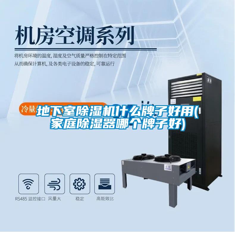 地下室除濕機(jī)什么牌子好用(家庭除濕器哪個(gè)牌子好)