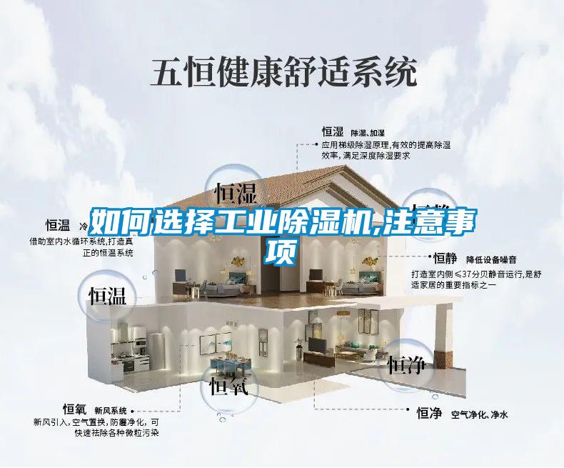 如何選擇工業(yè)除濕機(jī),注意事項