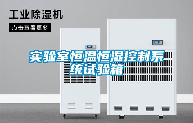 實(shí)驗室恒溫恒濕控制系統試驗箱