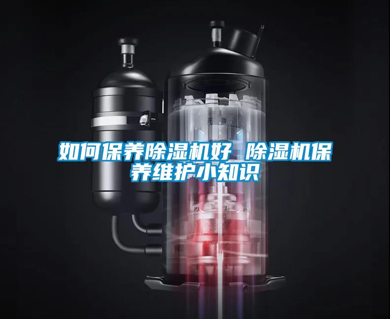 如何保養(yǎng)除濕機好 除濕機保養(yǎng)維護小知識