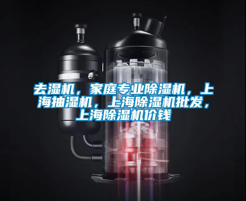 去濕機(jī)，家庭專(zhuān)業(yè)除濕機(jī)，上海抽濕機(jī)，上海除濕機(jī)批發(fā)，上海除濕機(jī)價(jià)錢(qián)
