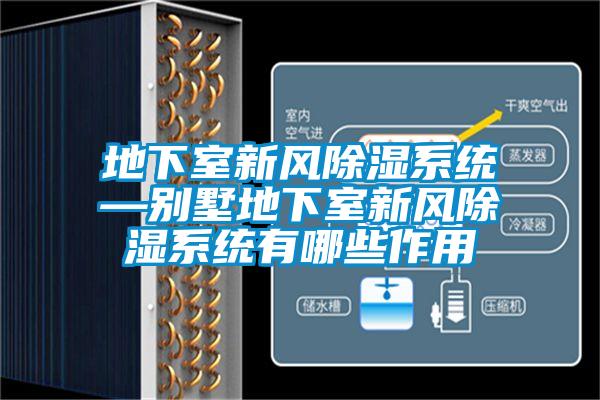 地下室新風(fēng)除濕系統—別墅地下室新風(fēng)除濕系統有哪些作用