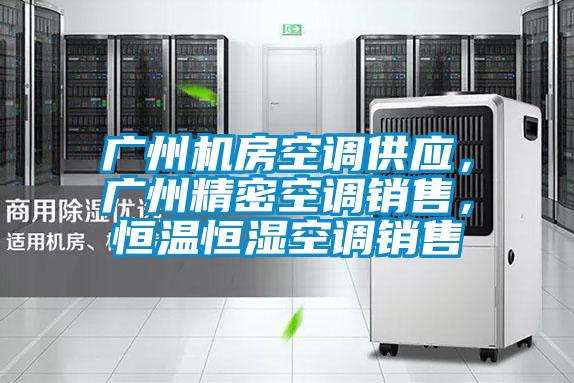 廣州機房空調供應，廣州精密空調銷(xiāo)售，恒溫恒濕空調銷(xiāo)售
