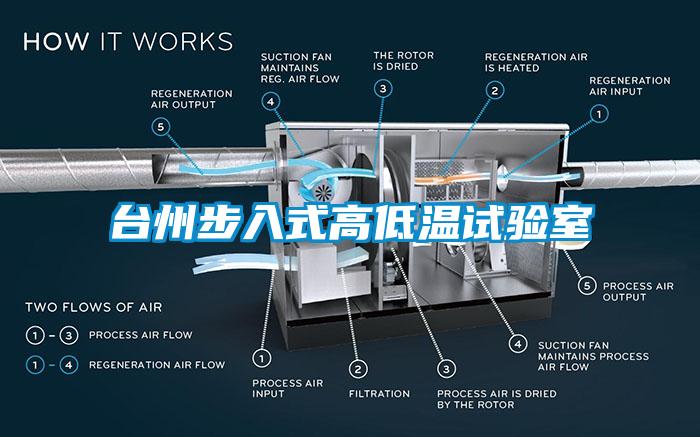 臺(tái)州步入式高低溫試驗(yàn)室
