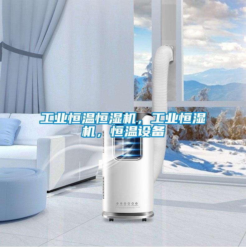 工業(yè)恒溫恒濕機，工業(yè)恒濕機，恒溫設備