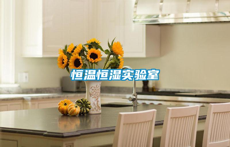 恒溫恒濕實(shí)驗室