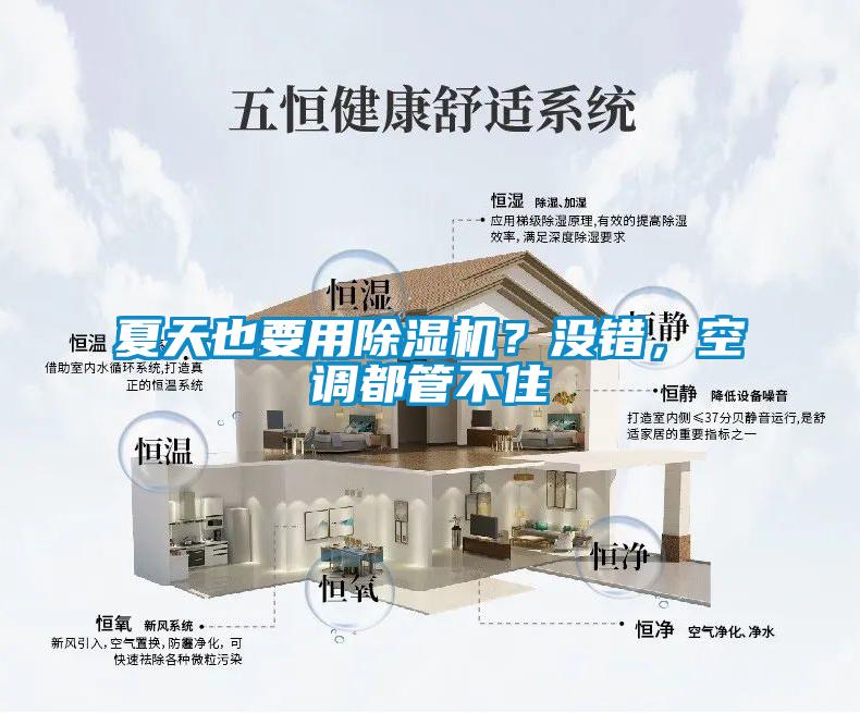 夏天也要用除濕機？沒錯，空調都管不住