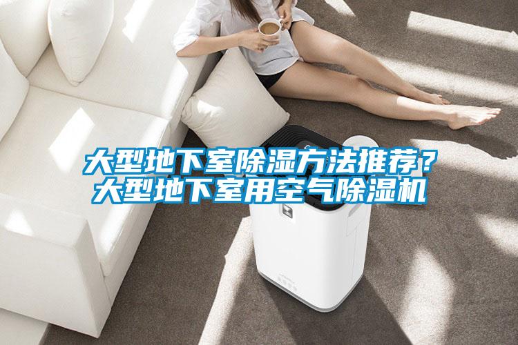 大型地下室除濕方法推薦？大型地下室用空氣除濕機(jī)