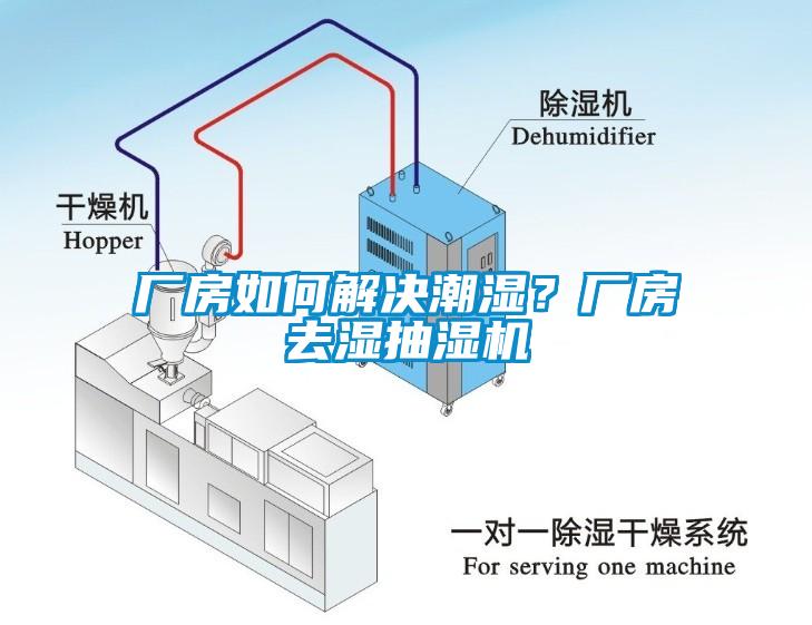 廠房如何解決潮濕？廠房去濕抽濕機(jī)