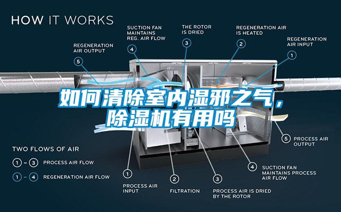 如何清除室內(nèi)濕邪之氣，除濕機(jī)有用嗎
