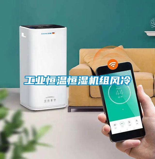 工業(yè)恒溫恒濕機組風(fēng)冷
