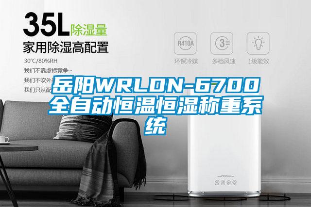 岳陽(yáng)WRLDN-6700全自動(dòng)恒溫恒濕稱(chēng)重系統