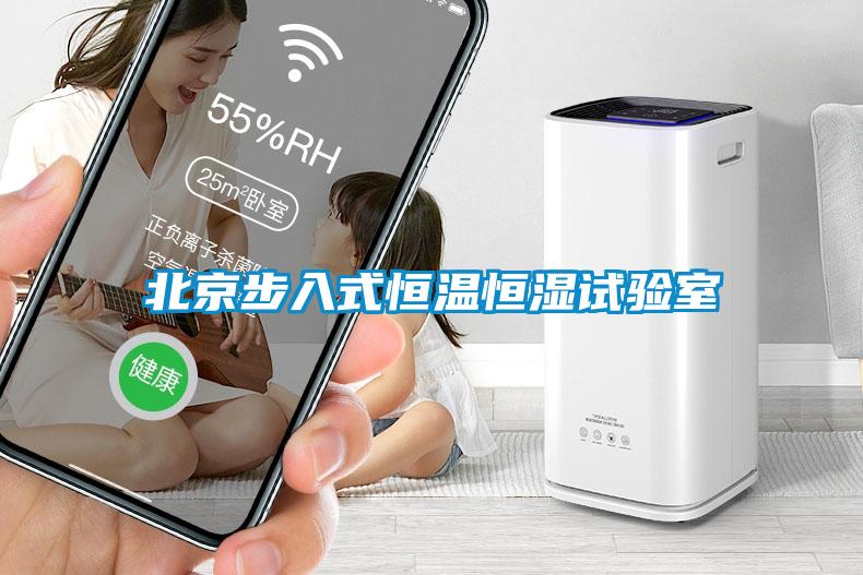 北京步入式恒溫恒濕試驗室