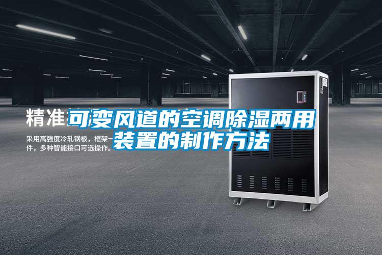 可變風(fēng)道的空調除濕兩用裝置的制作方法