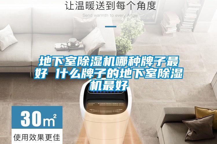 地下室除濕機哪種牌子最好 什么牌子的地下室除濕機最好