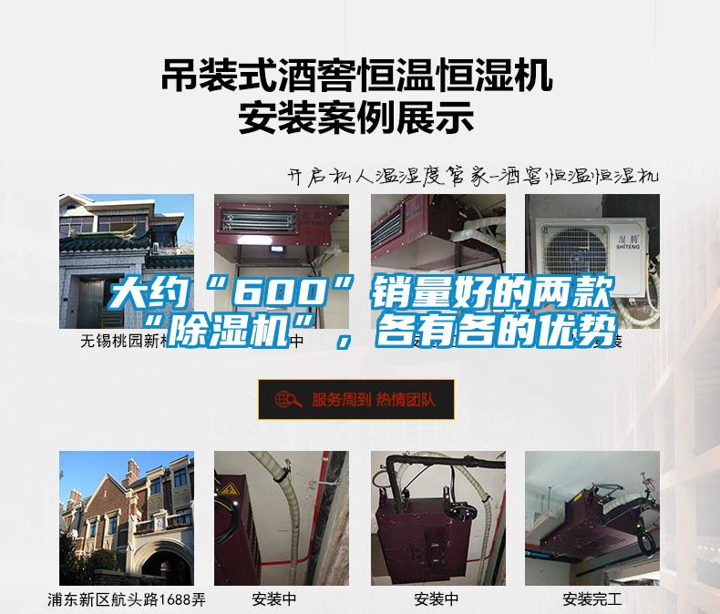大約“600”銷(xiāo)量好的兩款“除濕機”，各有各的優(yōu)勢