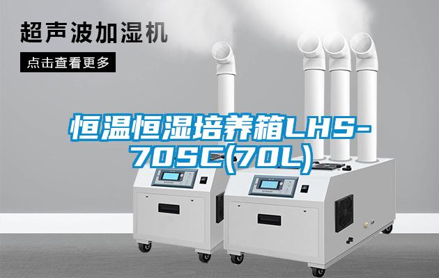 恒溫恒濕培養(yǎng)箱LHS-70SC(70L)