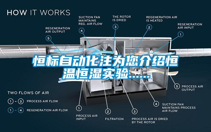 恒標自動(dòng)化注為您介紹恒溫恒濕實(shí)驗......