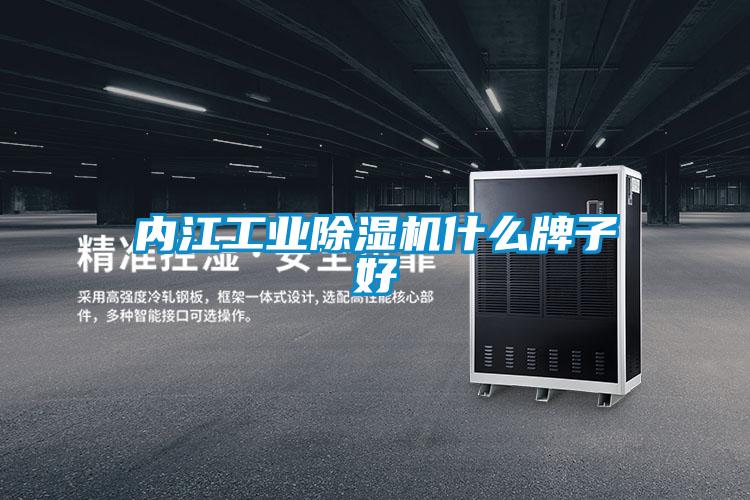 內(nèi)江工業(yè)除濕機(jī)什么牌子好