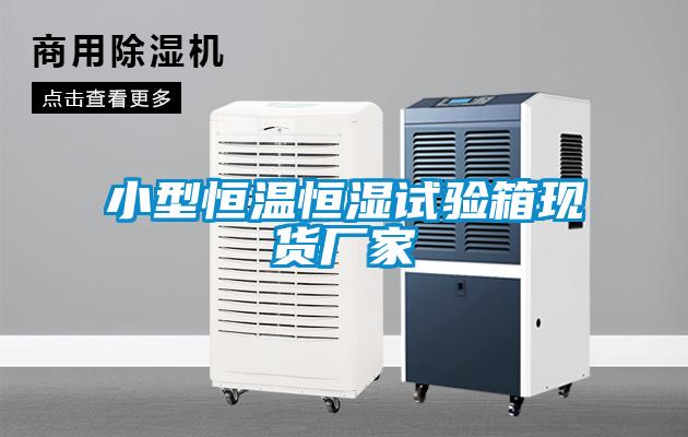小型恒溫恒濕試驗箱現(xiàn)貨廠家