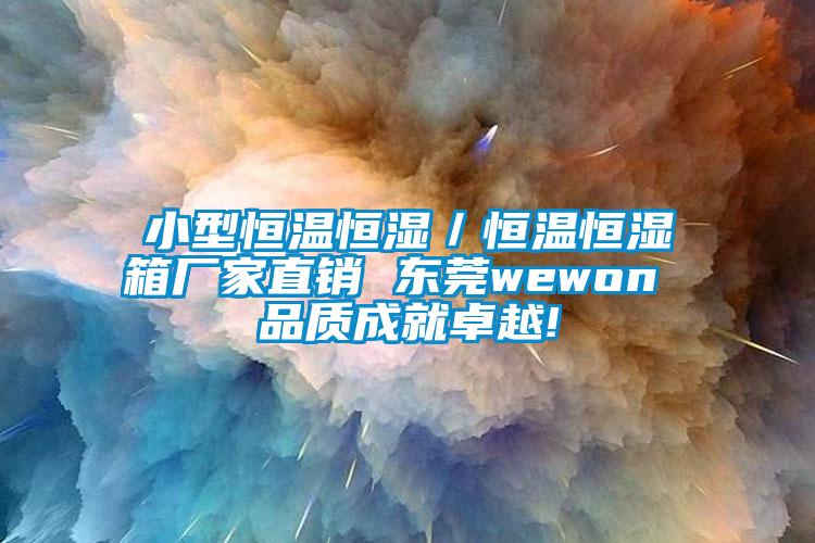 小型恒溫恒濕／恒溫恒濕箱廠(chǎng)家直銷(xiāo) 東莞wewon 品質(zhì)成就卓越!