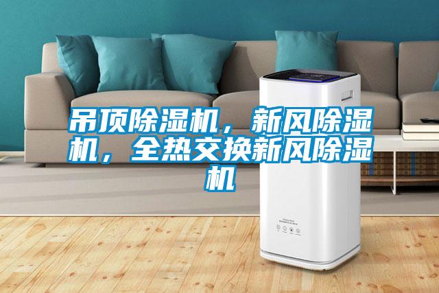 吊頂除濕機，新風除濕機，全熱交換新風除濕機