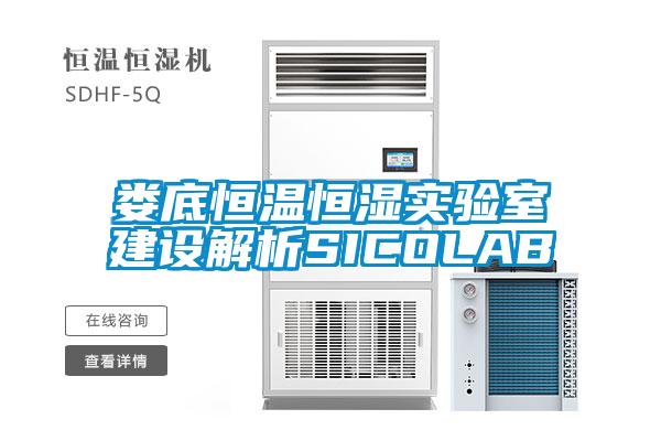 婁底恒溫恒濕實(shí)驗室建設解析SICOLAB